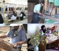 کاهش نرخ بیکاری در تابستان/ خدمات صدرنشین اشتغال‌زایی